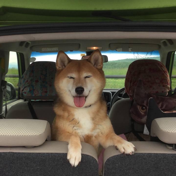 F6007dfa 6cb3 4132 b491 c4d96b8debf5 1592721282293