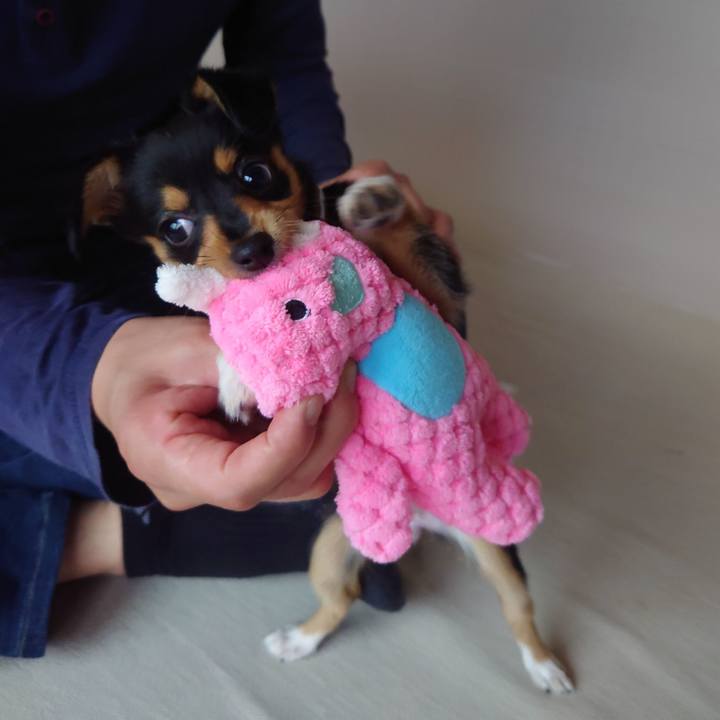 F600f7b3 10a3 4058 b473 3faba452dee5 1770341779598