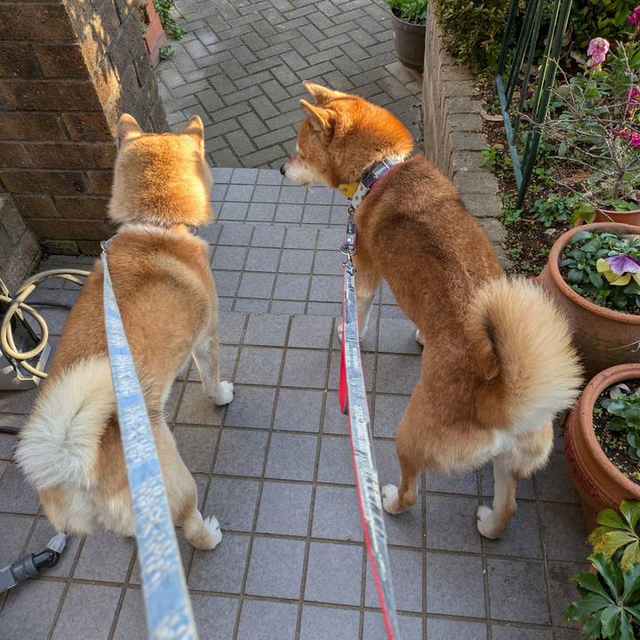 F6010bae bb86 4863 a587 7cc31cf27e2c 1738653938610