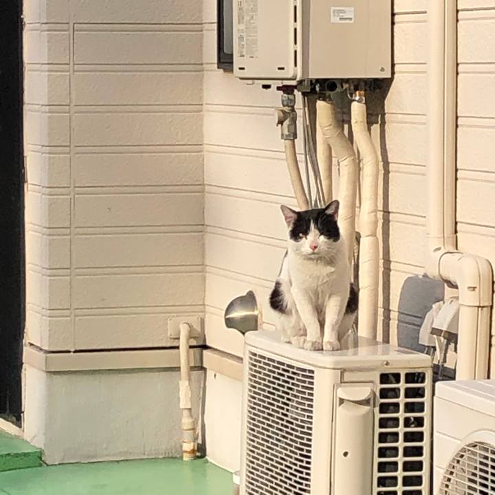 F6012988 5991 4b6a b56e 2e2b75a47e55 1552590063848