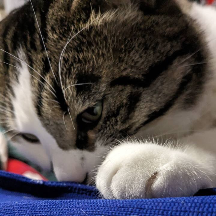 F6014885 a53c 46a9 97fa 99f446f9f92a 1717904372361