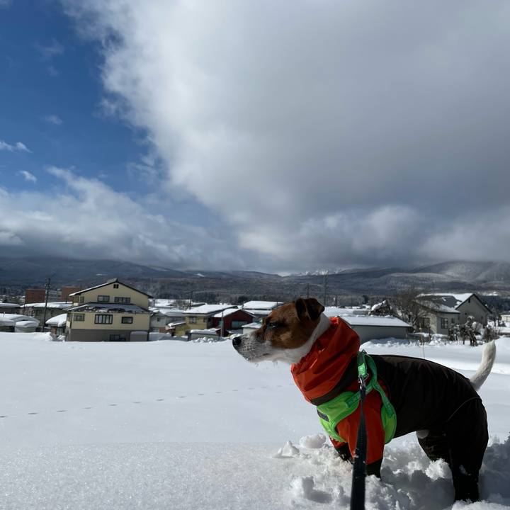 F60157b5 85b9 4bea b55a 0f7491ce1d51 1643493032167