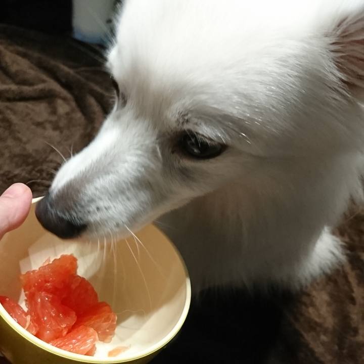 F6016d28 62be 4e06 b2b7 88cad9e8b56c 1537531676130