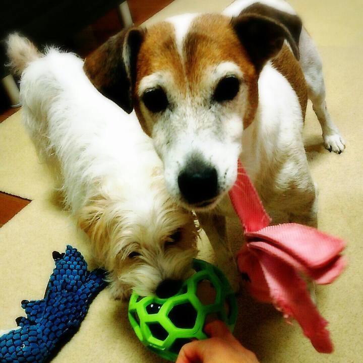 F601799b 01b1 475a 9b5b 211c96b82fd7 1508053186215