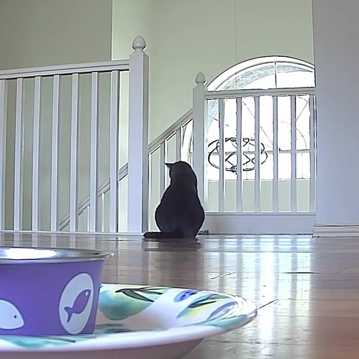 F601af68 b7b4 4091 9cbe e0059aeeff07 1743910334086