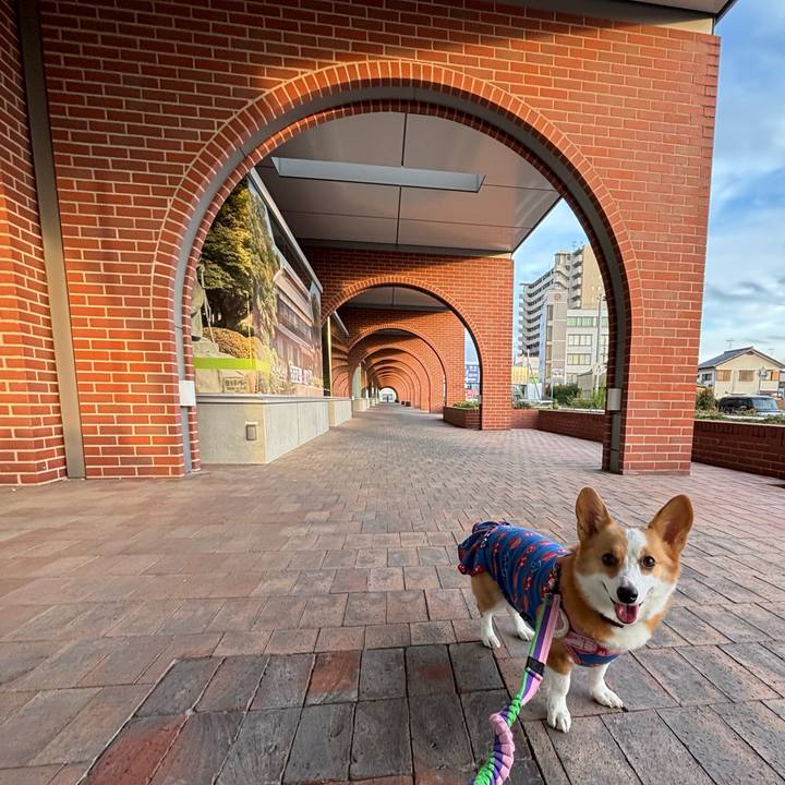 F601e2bd b416 4c03 a7a8 2c91547c0c1f 1763895717719