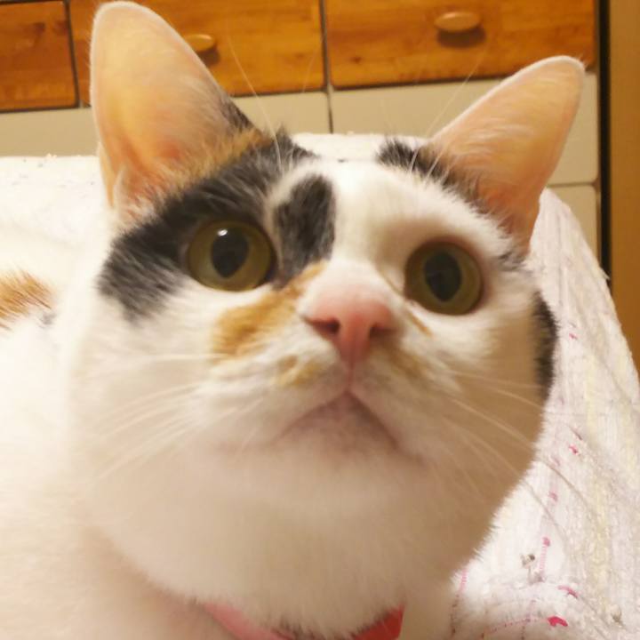 F601f6dd 6c94 40c8 bcfe 29602717e320 1512745076038