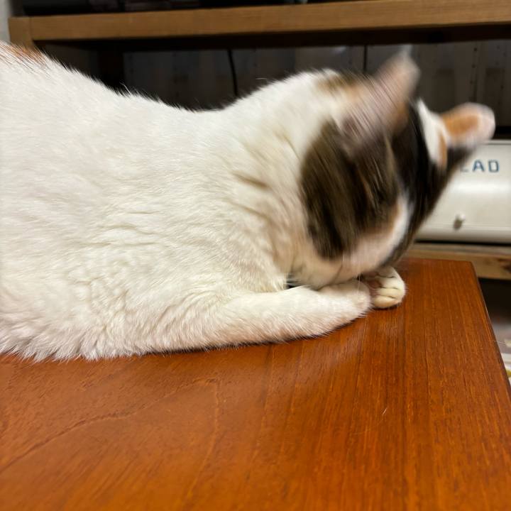 F6021d75 165d 466e 9bc1 54522211eaf7 1724580305828