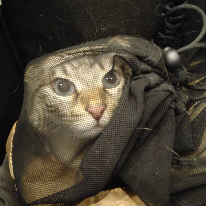 F6025414 f3ac 4719 8b40 1599b2b209b4 1725778703212