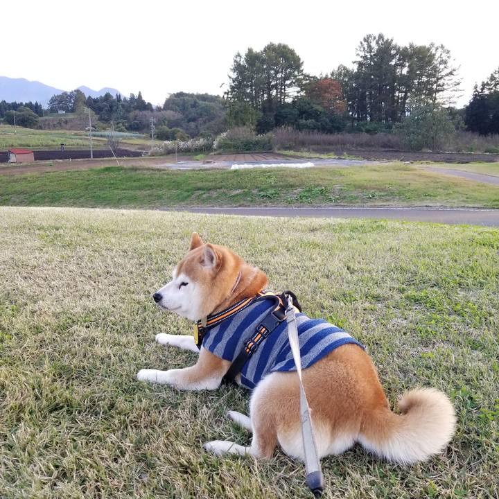 F60263c8 db2c 4461 82d4 7c2d198d1762 1635665149864