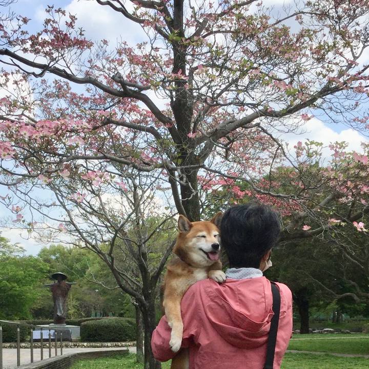 F6026a38 21d0 4312 969c 88f5843f430e 1618201244737