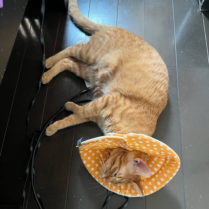 F60281e3 fe39 4786 ab67 239aa88b34f3 1662851293314