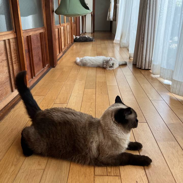 F602933c 1885 44ee b313 7471325c63c2 1755924546652