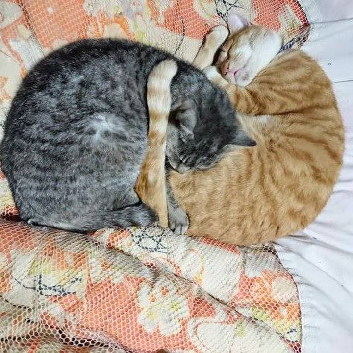 F602b1a6 78de 4d01 9116 c1f0dee27801 1574859126199