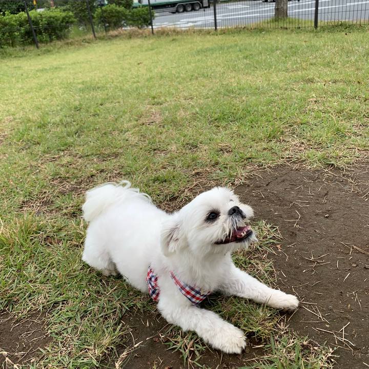 F602c1a9 2cb0 4db5 9321 ba0cf86adb8f 1635261033028