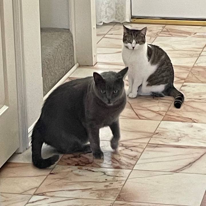 F602d6f1 12b1 417b bb74 fb2ae660ef4a 1743911646435