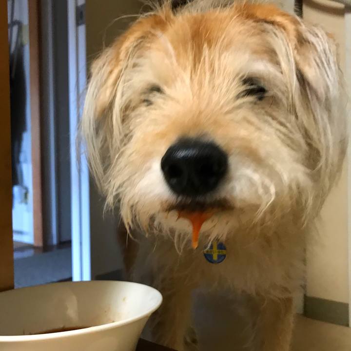 F602dc8e 1bd5 4883 9c63 a8fc0fb8eacc 1616228125526