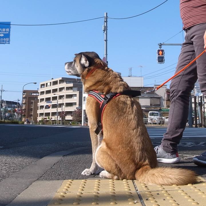 F602e8a8 3b3e 4dde 958f 1bf9b7e49fdd 1695946723145