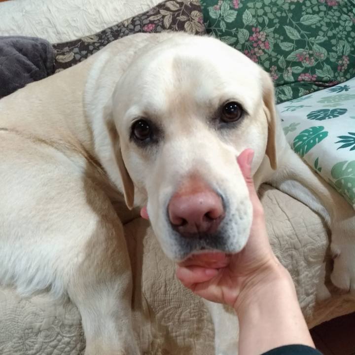 F602eb91 46d8 47e0 97ec 3cfb0adffe32 1642239390999