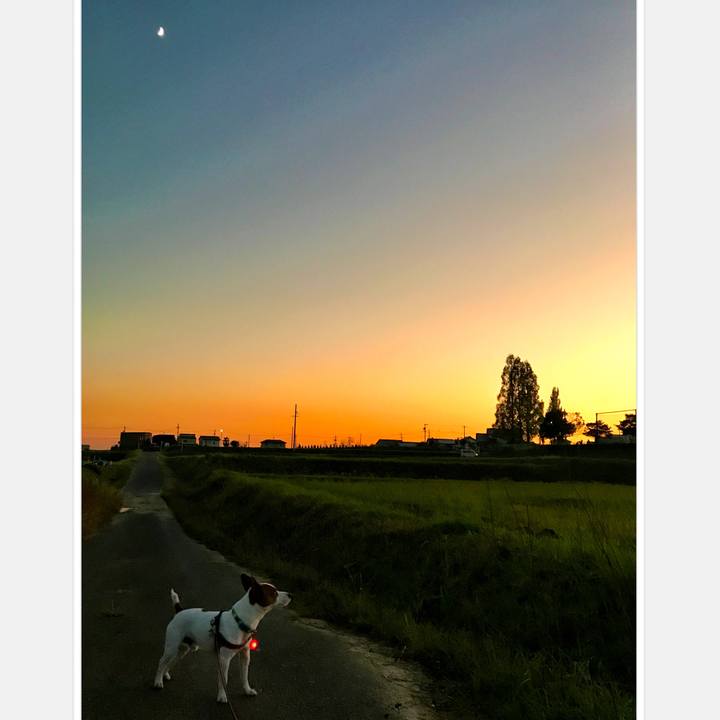 F602fa65 6888 434b acd9 8c90615c6131 1509010864042