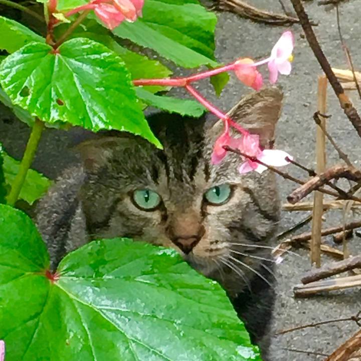 F6030352 3256 4687 840f 09d386b0a7a0 1629150115534