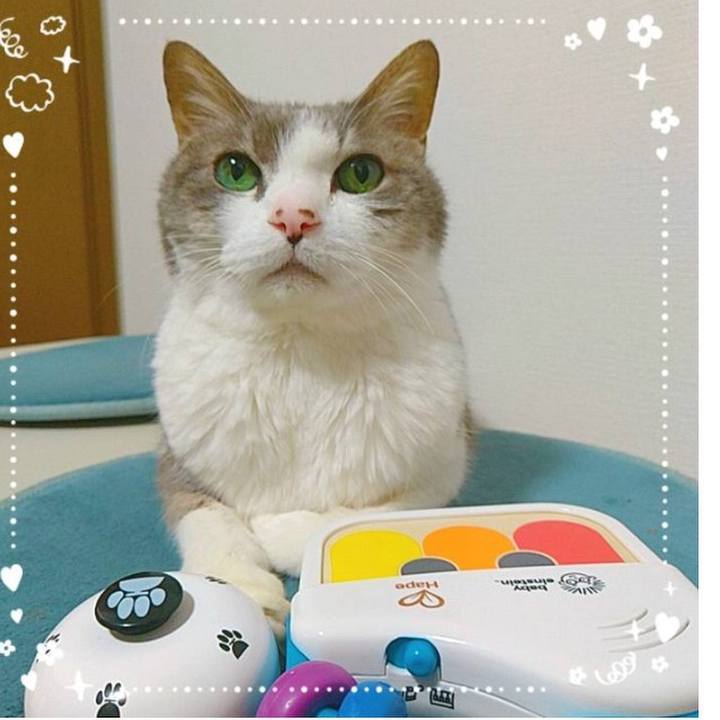 F6030785 6483 4864 97cc 80cf0b7278c7 1645226182946