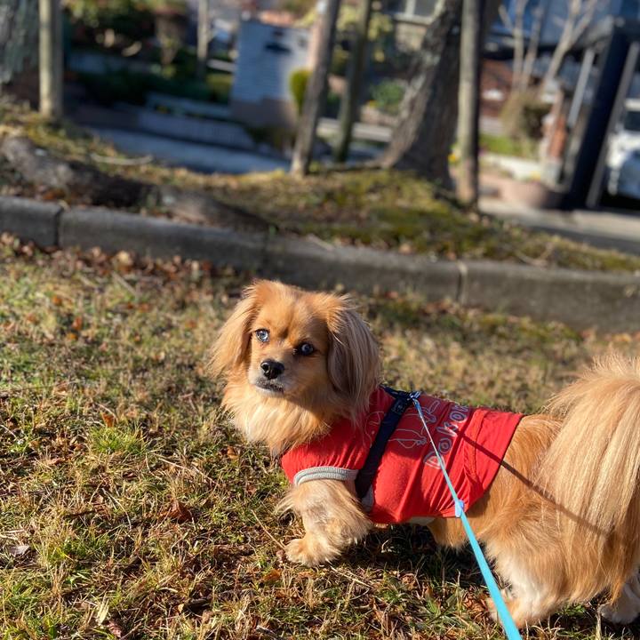 F6032137 b8d8 46eb 9d1e a59feb4d653b 1578184335201