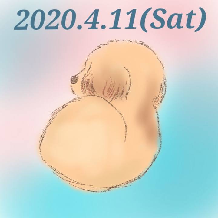 F6036c91 97df 4f73 a312 eae82dca1ddd 1586608823304