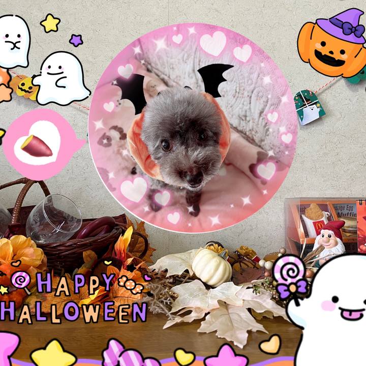 F6037e05 5bdd 4b04 9b34 5396d09fed2b 1698645178969