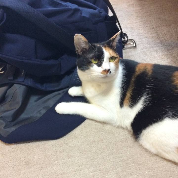 F60397da 9bce 4ee6 8d59 4697beade69e 1586490700626