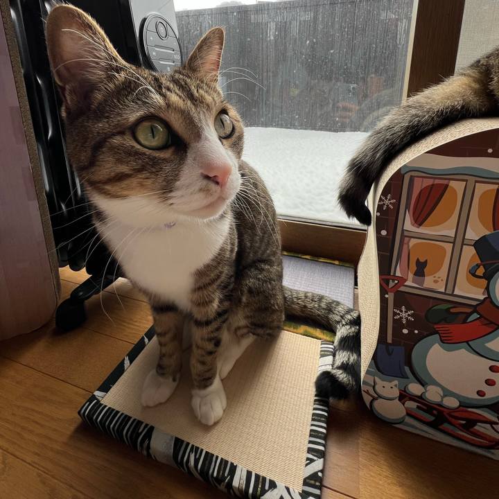 F6039b6b 7b83 4b4d bddc 8b829dfd3b59 1740465688864