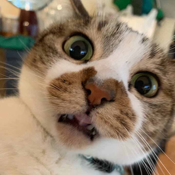 F6039e3a d6ec 4e8b b917 df01b1855222 1578185663845