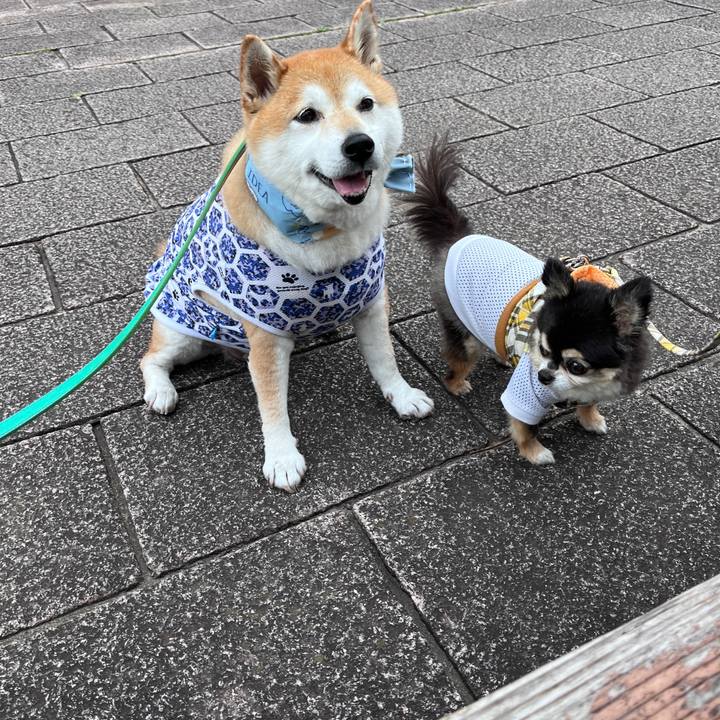 F603c763 77fb 4b89 956f 02da874bfac6 1718878590016