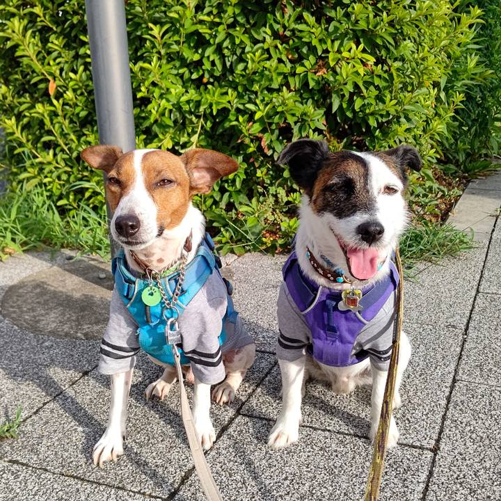 F603cdab a08f 437a a065 b62117b291f6 1656972340227