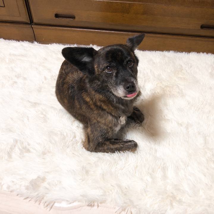 F60420dd aff7 4c8f 92c7 79402cec246a 1575297870064