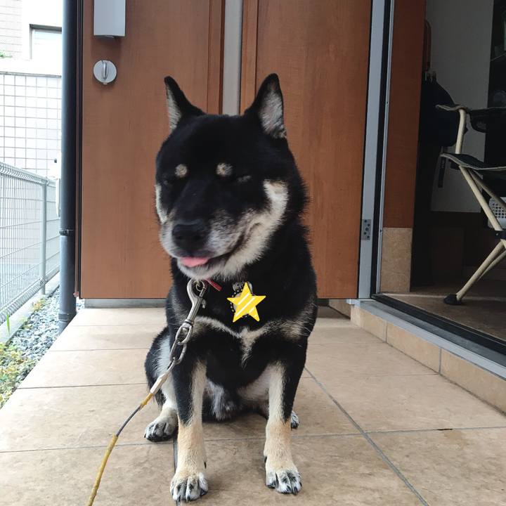 F604543e 37cd 4490 8ebd 45da18c6e626 1527755104984