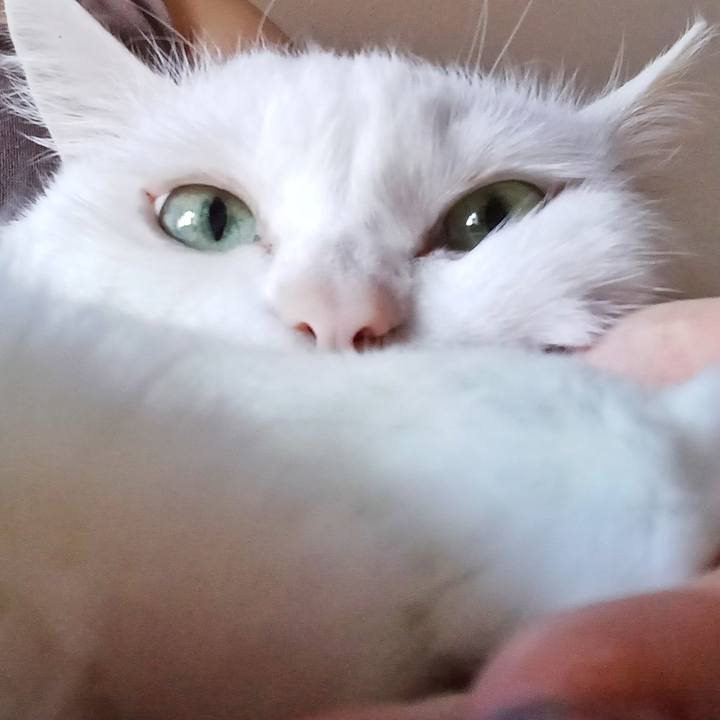 F6046563 b095 411b bd28 13f429c128d4 1774773453657