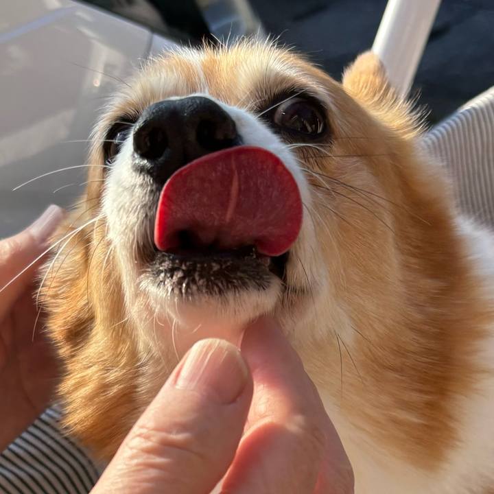 F604a276 a4ce 48ca b4e4 cb2117704cb5 1736049285357