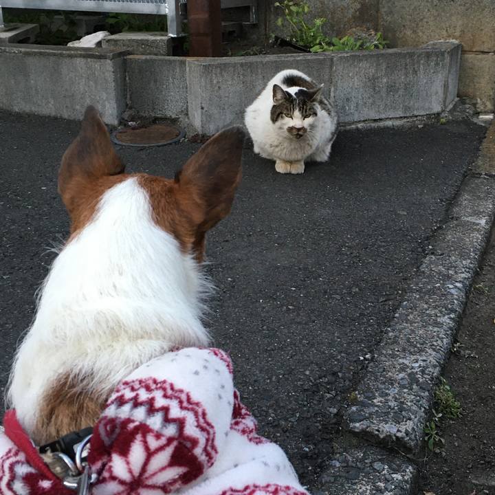 F604abc0 0994 4a13 9a5c 368588e4d433 1584574151142