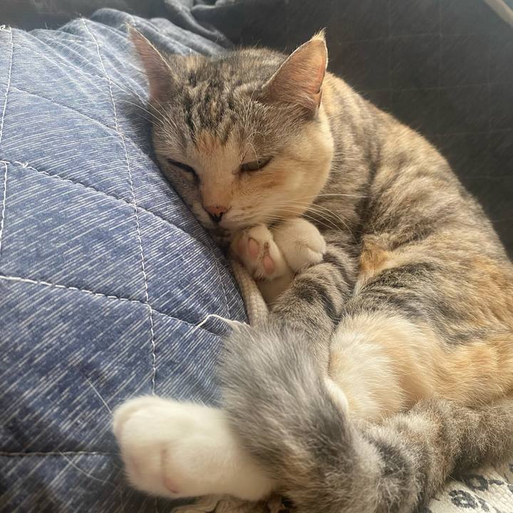 F604bb18 a506 4223 abe4 b1531791eb3c 1694226264040