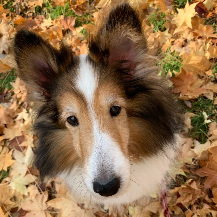 F604be03 80da 4929 9b42 ed23fc84528f 1699778711992