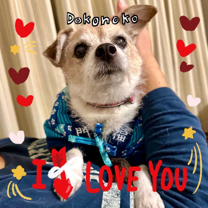 F604cb14 13da 4b34 9808 92340583848a 1706828404184