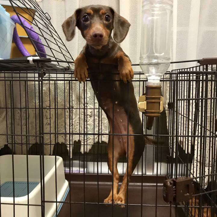 F604d27c d8ce 4b48 a4c4 277daaace9cf 1511868860134