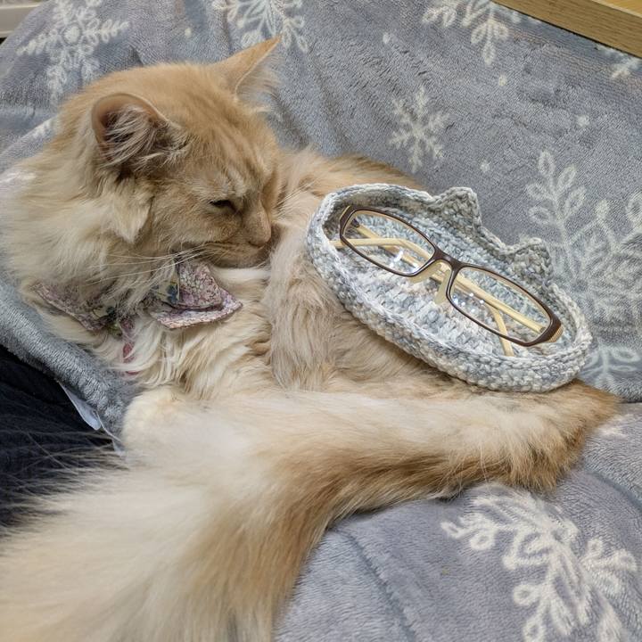 F604ef20 a2cb 4b12 acac def85e101d04 1770655707053