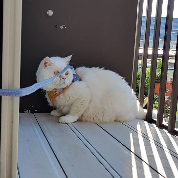 F6052c37 ddc1 47ef a88a 63d3c05bfde3 1659139478430