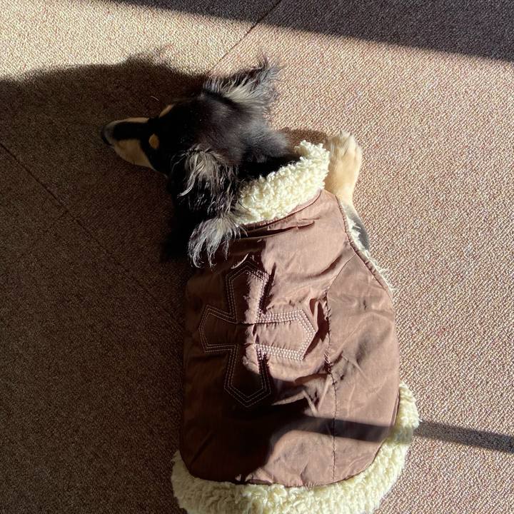 F605989d d7e2 45de 8fb0 3305c9be96bc 1671927305760