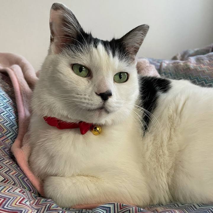 F605995f 4499 414a 9093 e762ea2a62e5 1611704218783