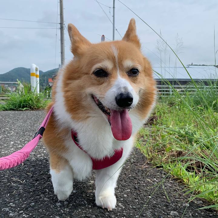 F605a04f 7c97 4d2f 9002 967d227855c5 1720833000262