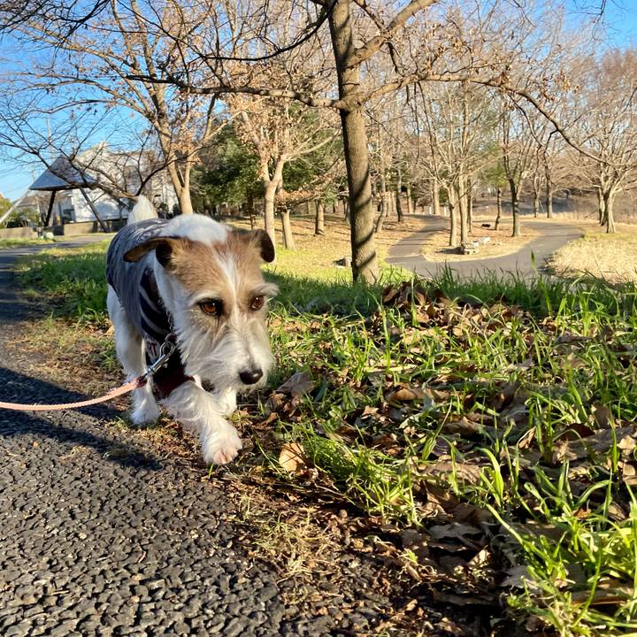 F605cfb7 29f7 45f9 b30c 78fbe75ea129 1673434979527