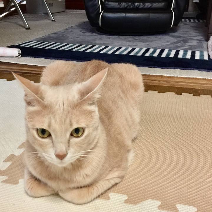 F605e7f3 5d55 465d bd2a ac1523ebf9e7 1526673212480